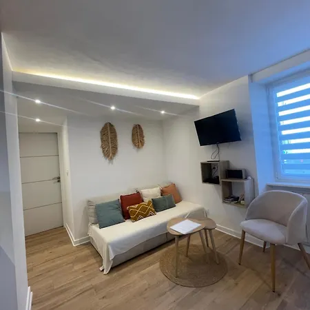 « a Deux Pas De La Petite Venise » アパート コルマール